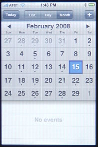 iPhone Calendar Month View