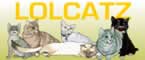 iPhone Ringtones: LOL Catz