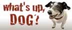 iPhone Ringtones: What Up Dog