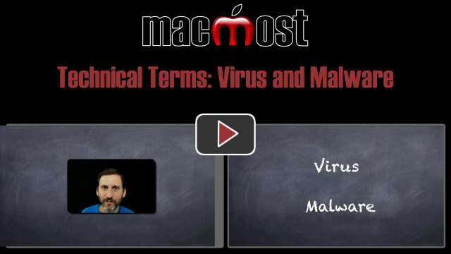 Technical Terms: Virus and Malware