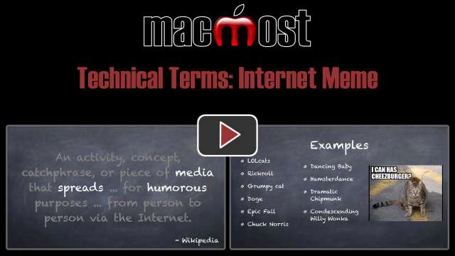 Technical Terms: Internet Meme