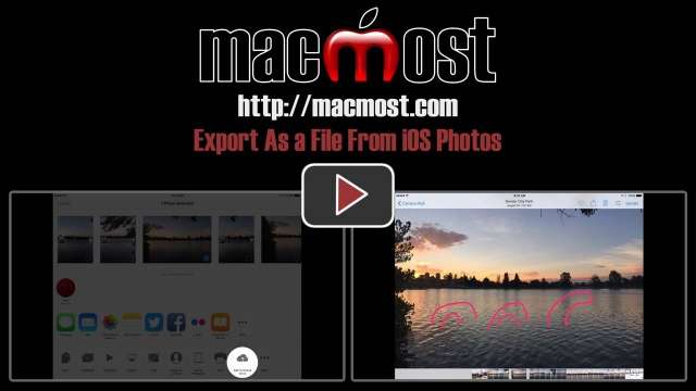 Export As a File From iOS Photos