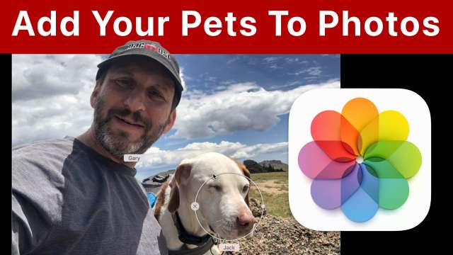 Adding Your Pets As People In Mac Photos