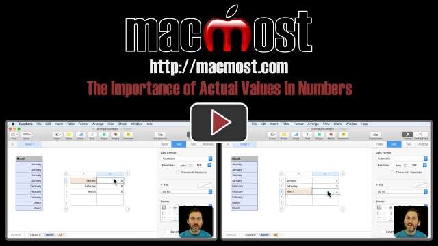 The Importance of Actual Values In Numbers