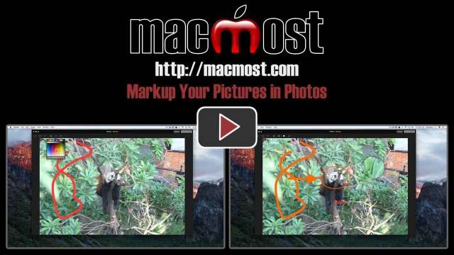 Markup Your Pictures in Photos