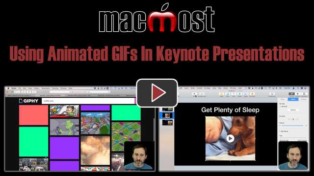 How to create an animated GIF in Keynote