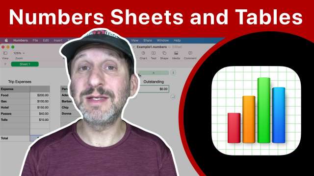 Understanding Sheets and Tables In Mac Numbers