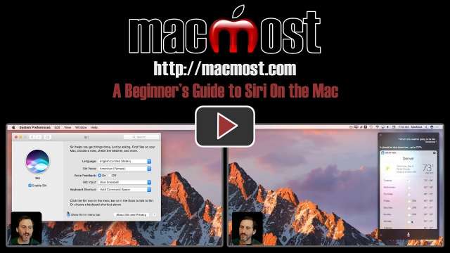 A Beginner's Guide to Siri On the Mac