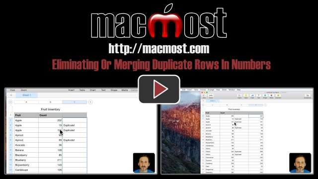 Eliminating Or Merging Duplicate Rows In Numbers