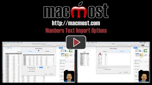 Numbers Text Import Options
