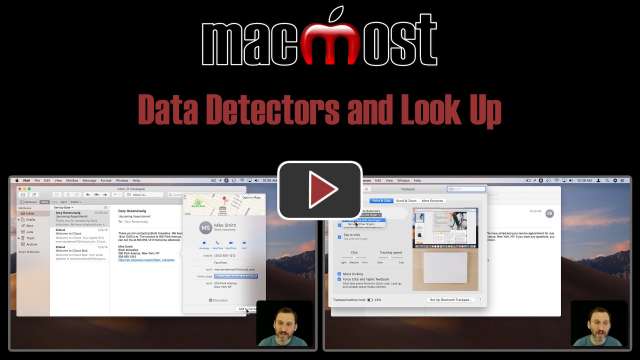 Data Detectors and Look Up