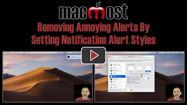 Removing Annoying Alerts By Setting Notification Alert Styles