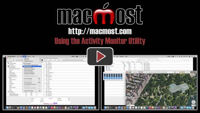 Using the Activity Monitor Utility