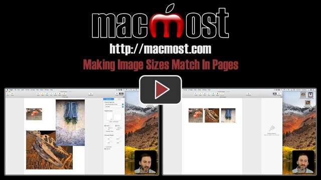 Making Image Sizes Match In Pages