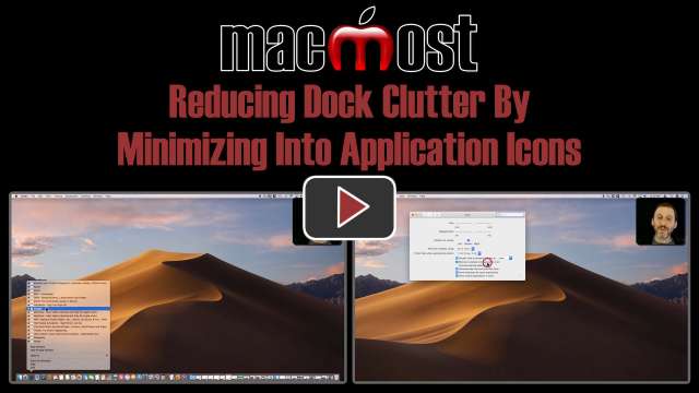 Reducing Dock Clutter By Minimizing Into Application Icons