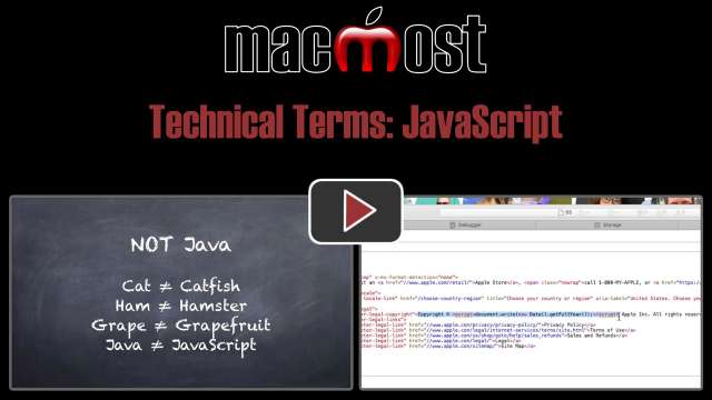 Technical Terms: JavaScript
