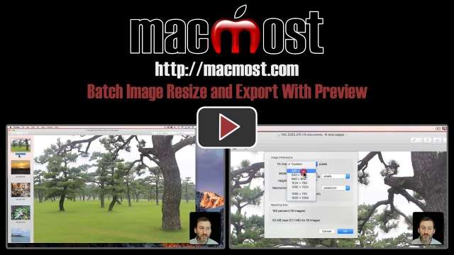 Batch Image Resize and Export With Preview