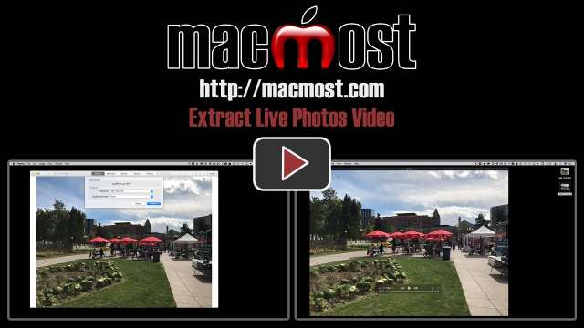 Extract Live Photos Video