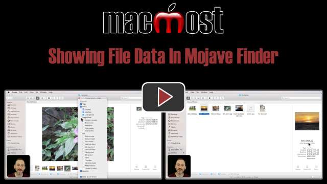 Showing File Data In Mojave Finder