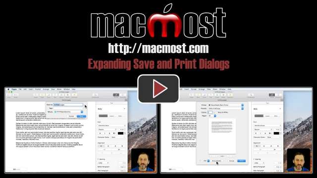 Expanding Save and Print Dialogs