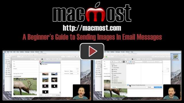 A Beginner's Guide to Sending Images In Email Messages