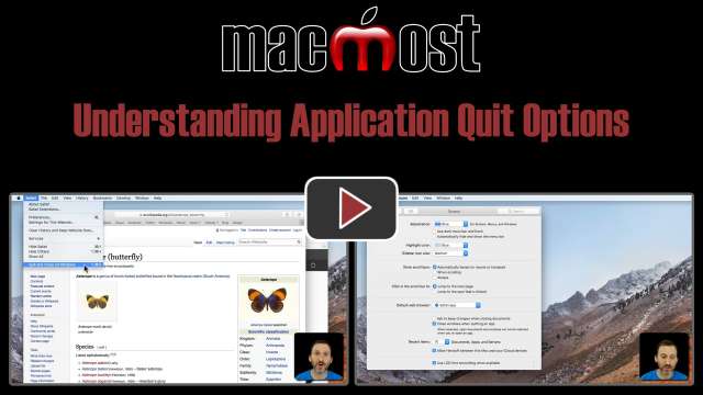 Understanding Application Quit Options