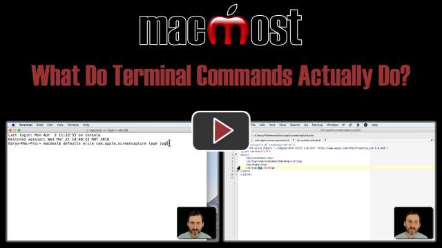 What Do Terminal Commands Actually Do?