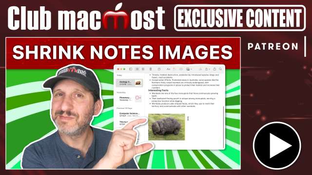 Club MacMost Exclusive: Quickly Shrink Images In Notes